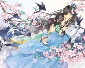 r星每日大赛在线观看网页版