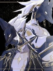 深入了解 芒果视频永久回家导航